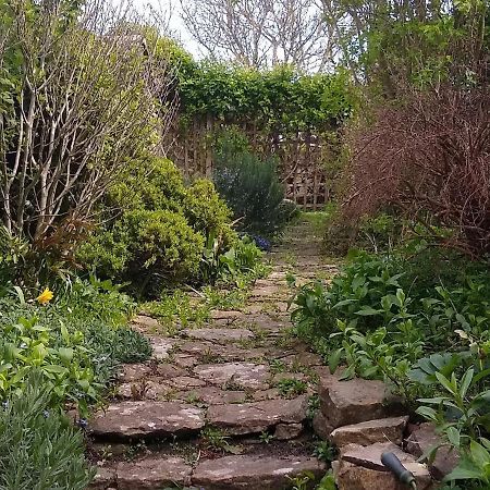 Badgers Cottage Weymouth Exteriör bild